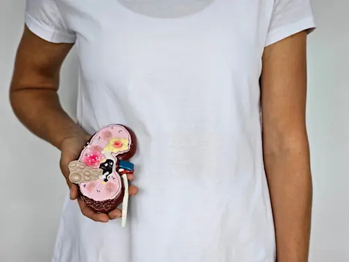 Medical Breakthrough: Woman With Pig Kidney Defies the Odds-1