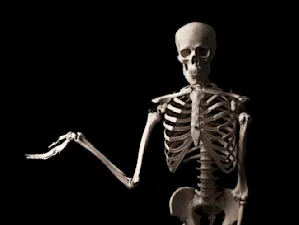 Why can't skeletons play music at a church? image