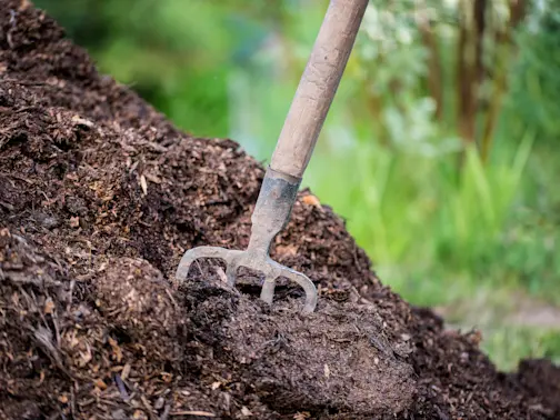 Human Remains Found in Manure Amid Search for Missing Irish Farmer