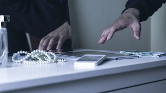 How 'Burglary Tourists' Target Luxury Homes in the US-1