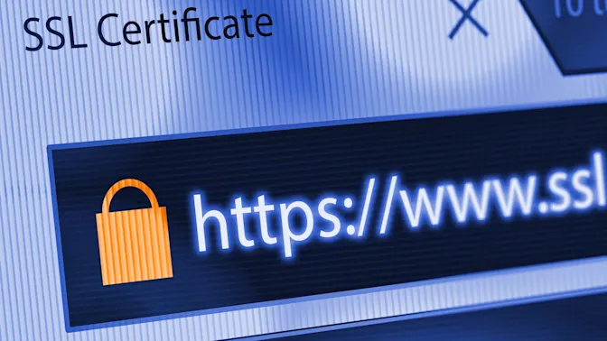 Holiday Shopping? Spot Fake Online Stores With These 9 Tips!-4