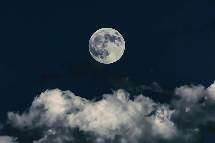  Did you hear about the restaurant on the moon? image