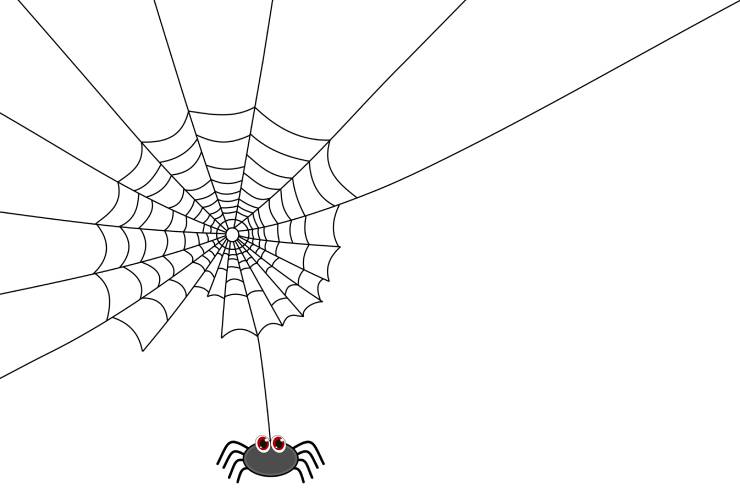  Why do spiders always know the answer to everything? image