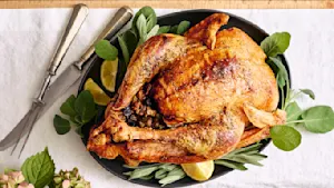 Thanksgiving Turkey & Stuffing