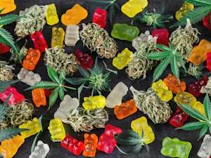 AdobeStock 608431409