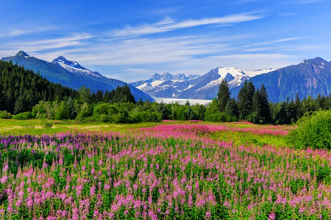 The 10 States with the Most Missing Persons-2