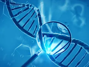 AdobeStock 189624167