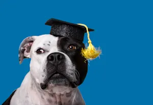 Which yearbook superlative did the dog win when he graduated? image