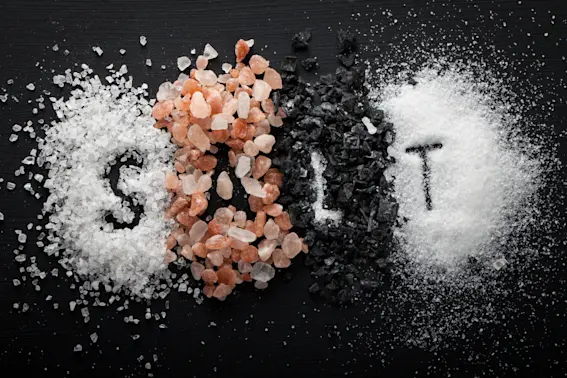 Salt Hero Image