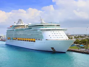 Was Excessive Force to Blame in Royal Caribbean Passenger’s Death?-1