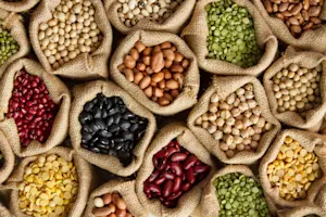 What kind of bean never grows in a garden?