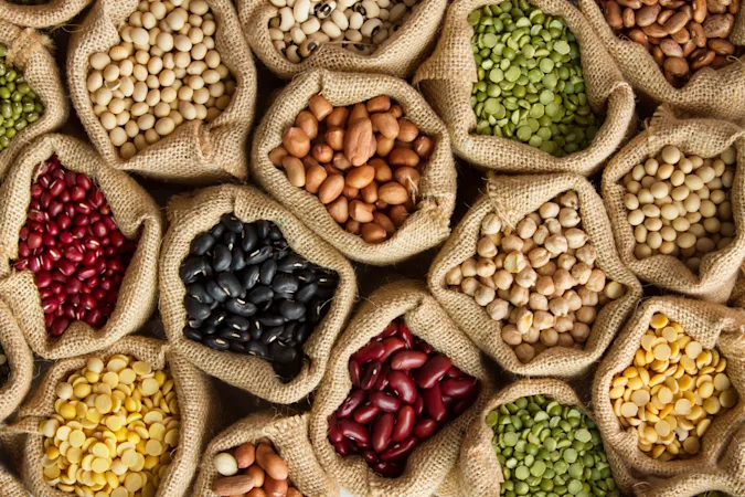 What kind of bean never grows in a garden?