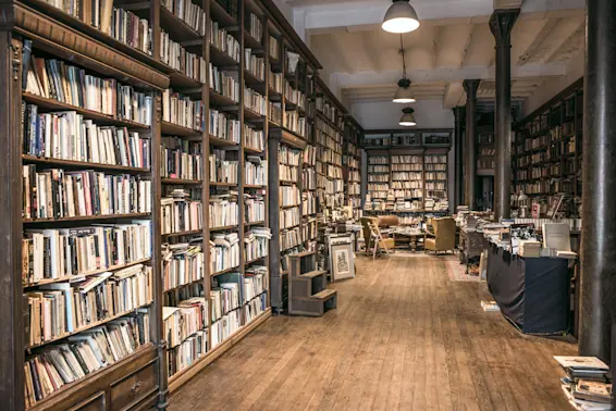 Why Old Books Turn Yellow 4