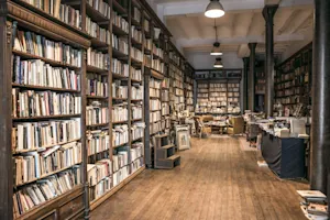 Why Old Books Turn Yellow 4