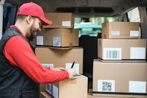 What is a mailman's favorite herb? image