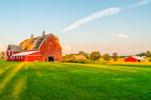 Which farm animals are famous painters? image