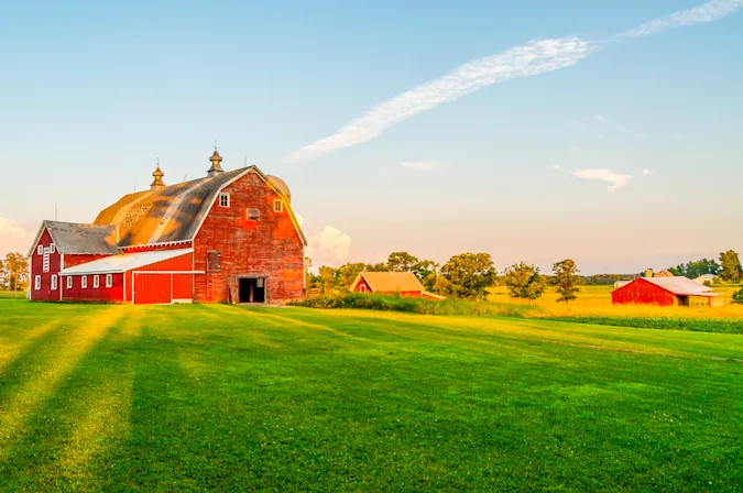 Which farm animals are famous painters? image