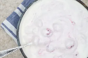Frozen Fruit Whip 03