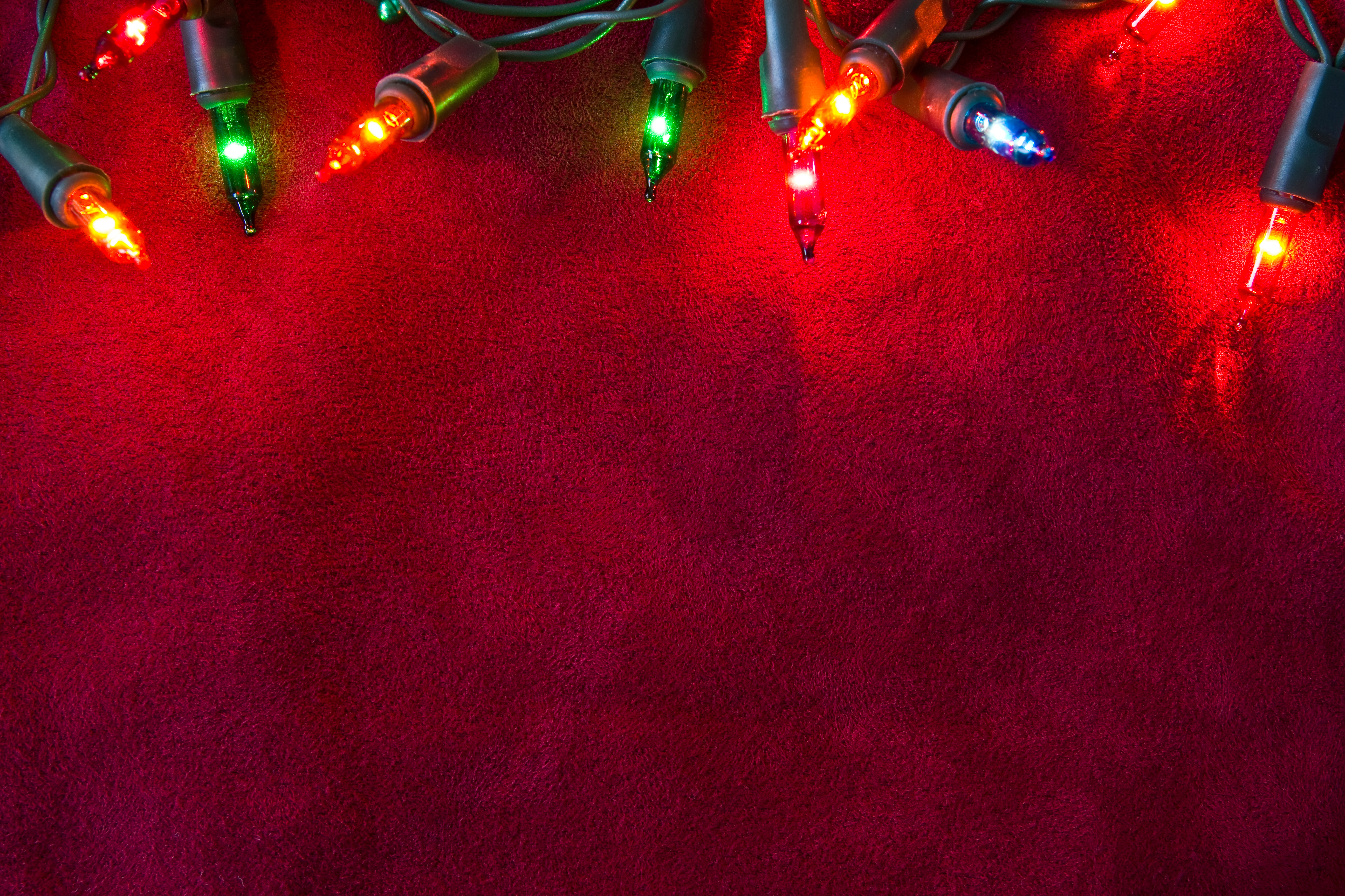 Why did the little girl plant the Christmas lights? image