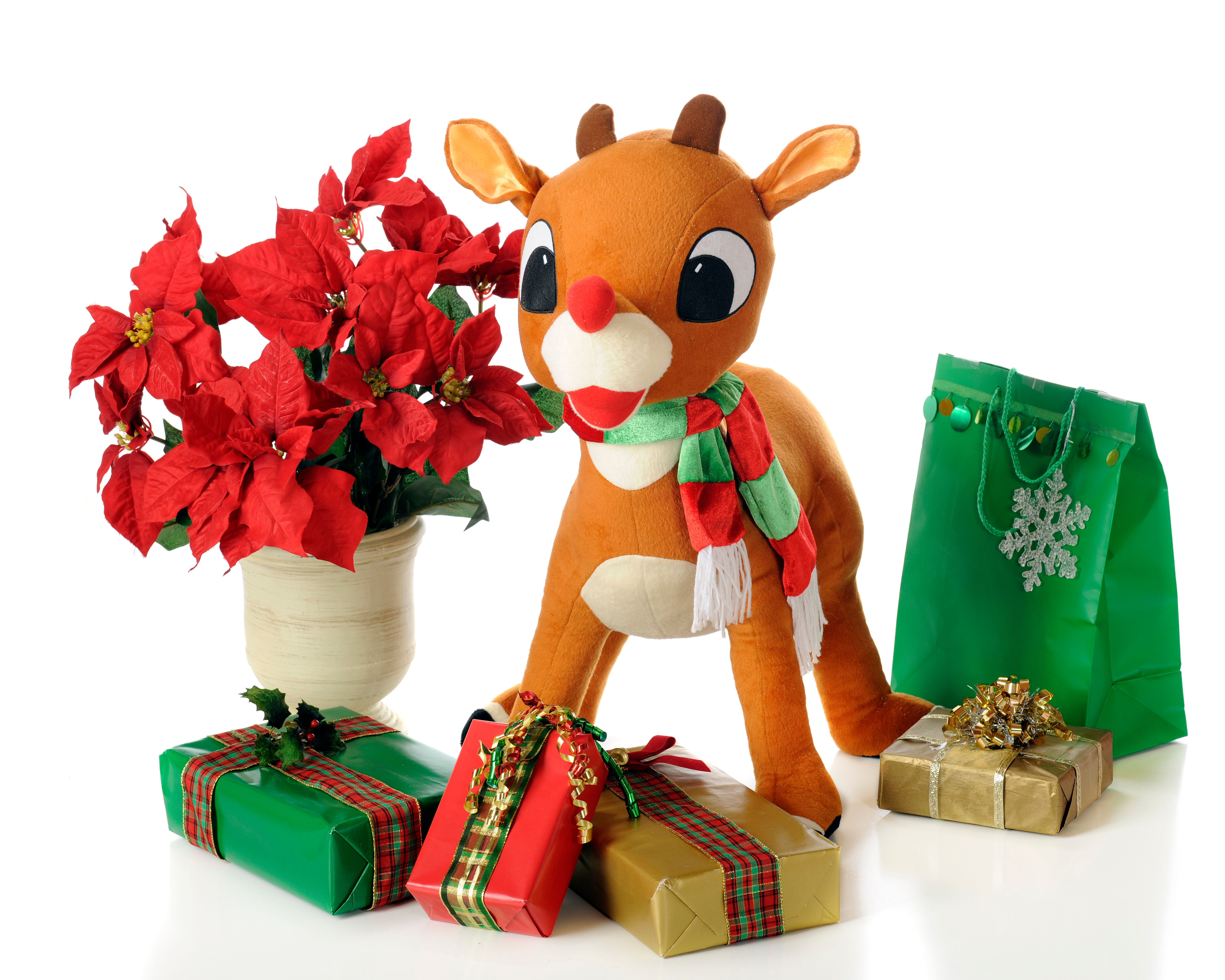 Why doesn't Rudolph mind getting wet? image