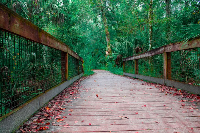 How Did Eddie Lee Sexton Turn His Family into Murderers in the Woods? -2