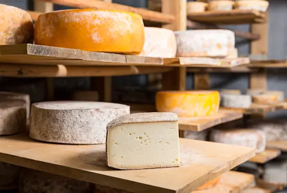 What do you call a cheese that s feeling low