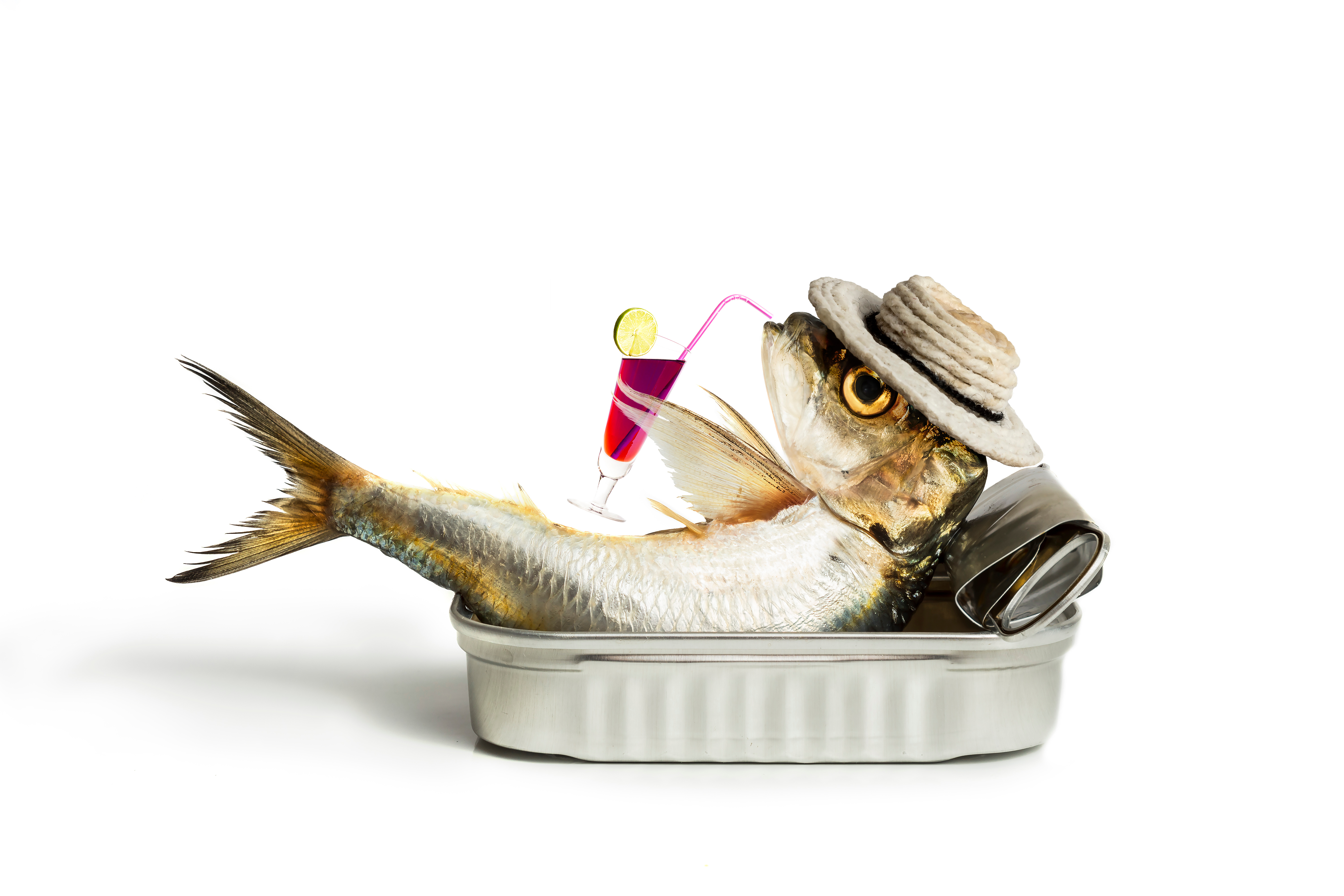 What do you call a fish without an eye? image