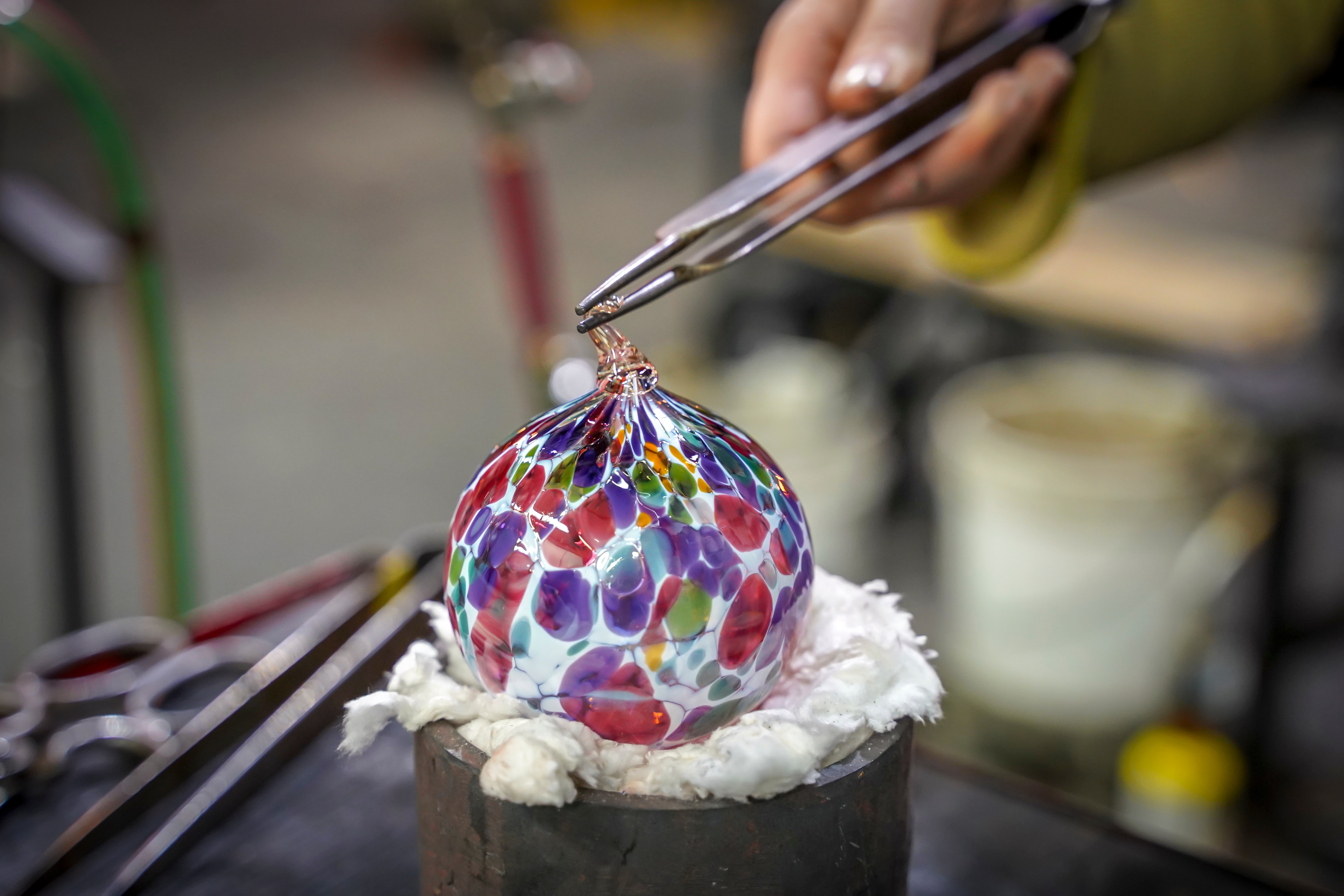 Which fish is the best at making glass art? image
