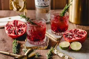 Pomegranate Gin & Tonic