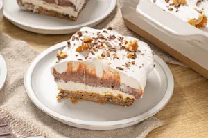 Chocolate Chip Delight