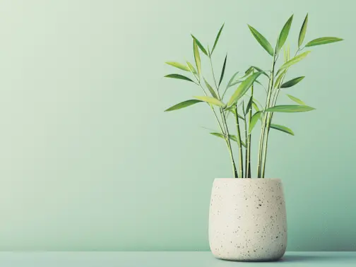 15 Good Luck Plants to Bring Fortune and Fresh Energy to Your Home