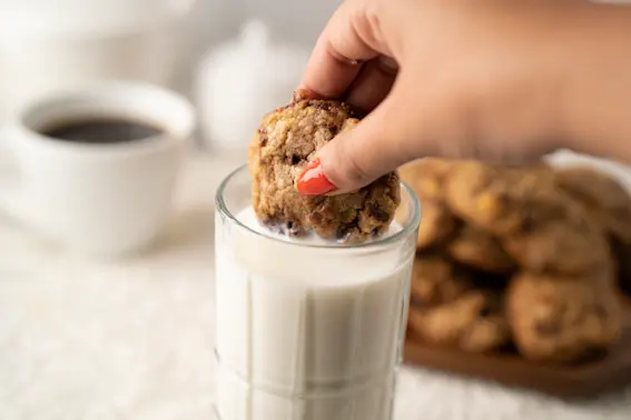 13 Chocolate Chip Cookie Recipes For Your Inner Child