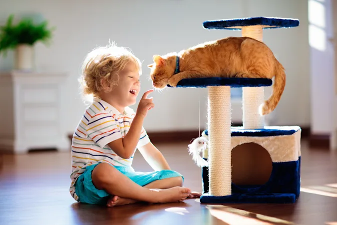 What kinds of cats do kids love to play with? image