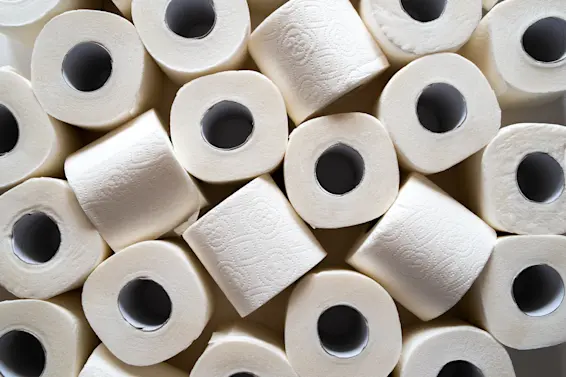 A Brief History of Toilet Paper and Its Predecessors-1