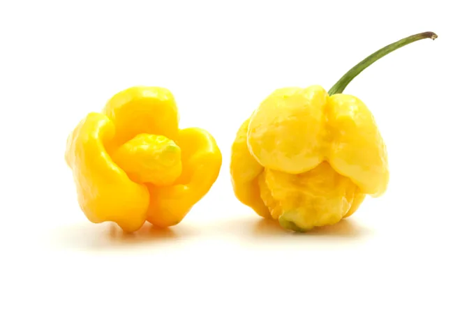 Turn Up the Heat The Hottest Peppers in the World-3