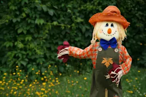 What's a scarecrow's favorite holiday food? image