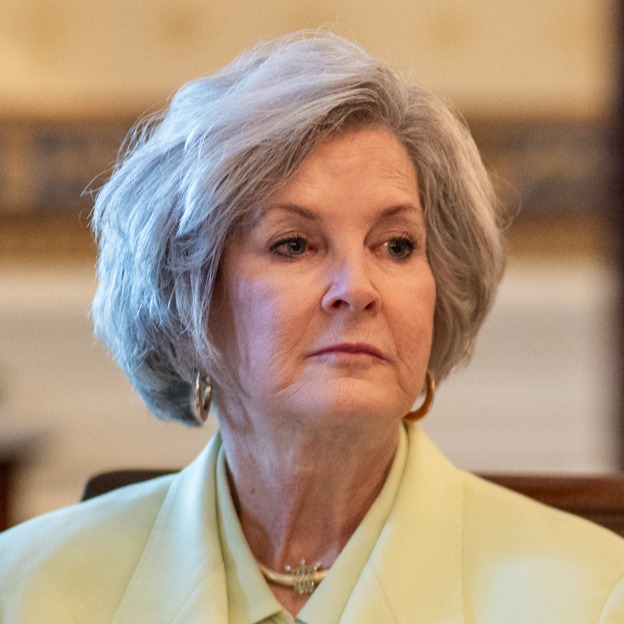 Susie Wiles July 2025