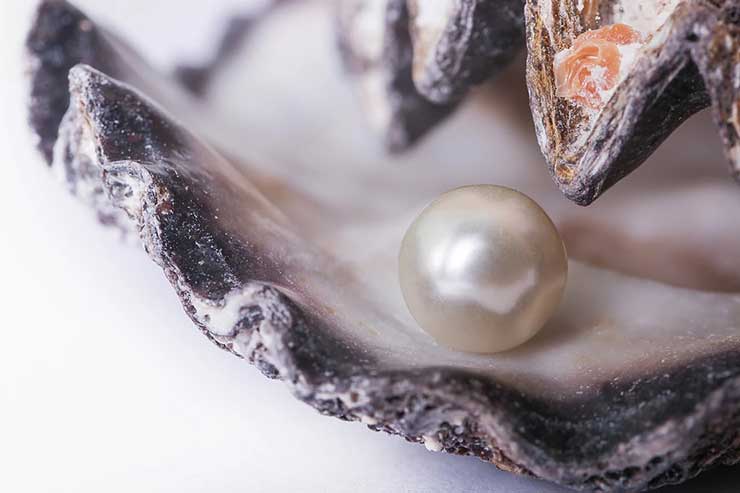  Why don't oysters share their pearls? image