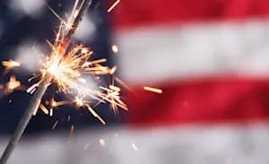 What was so bad about the Fourth of July picnic? image
