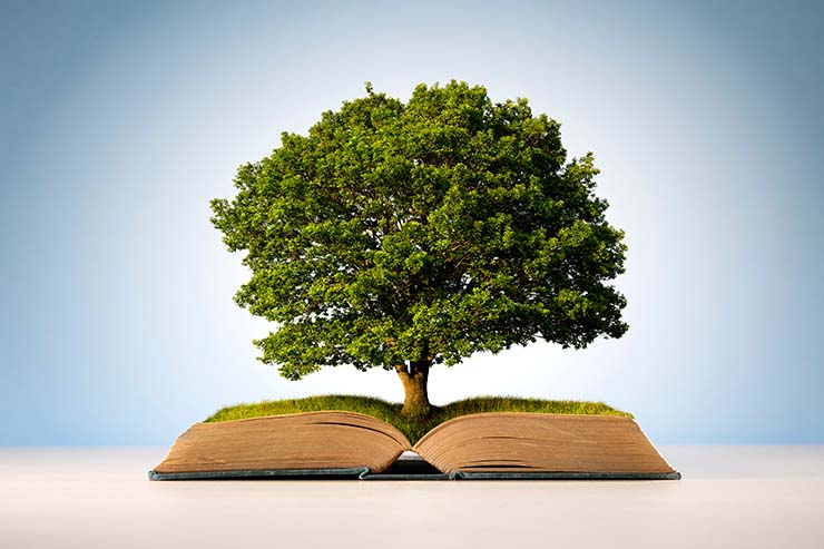  What kind of story do trees love to tell? image