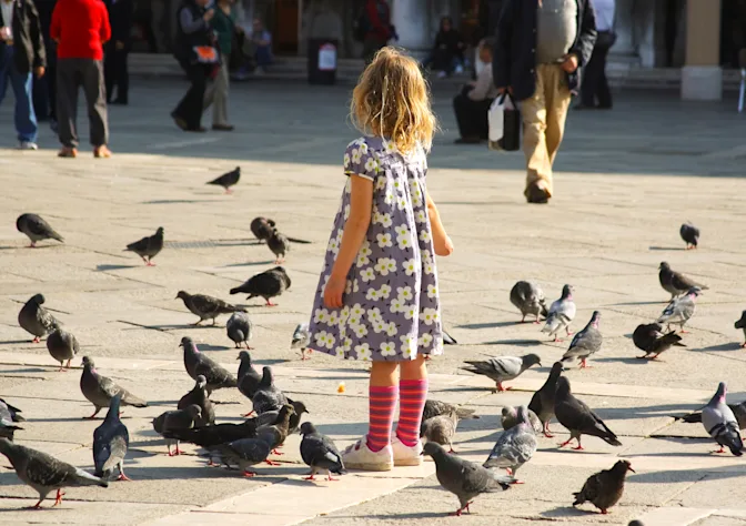 6 Shocking Laws from Around the World-3