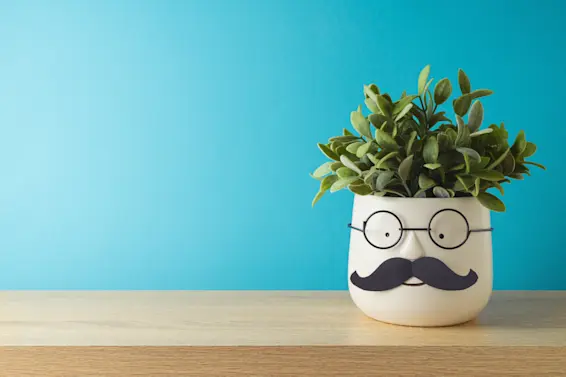 These 12 Plant Jokes Will Leaf You in Stitches