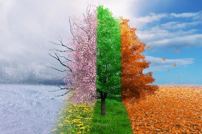 What is the most adorable season? image