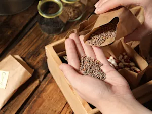 AdobeStock 380650449