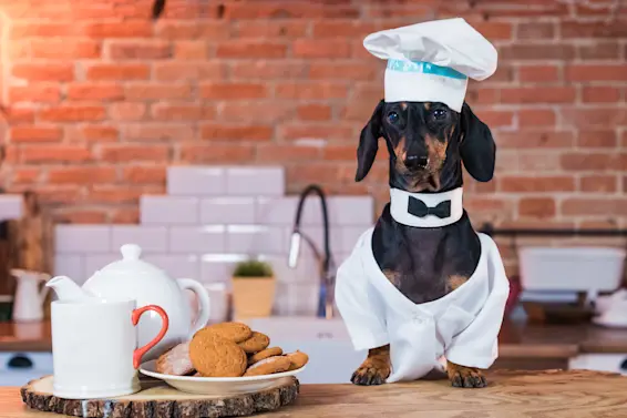 11 Cooking Jokes for a Bellyful of Laughs