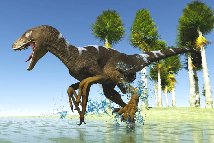  What dinosaur would win the track gold medal at the Olympics? image