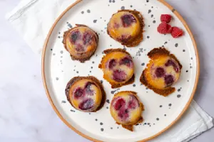 Cobbler Bites 1