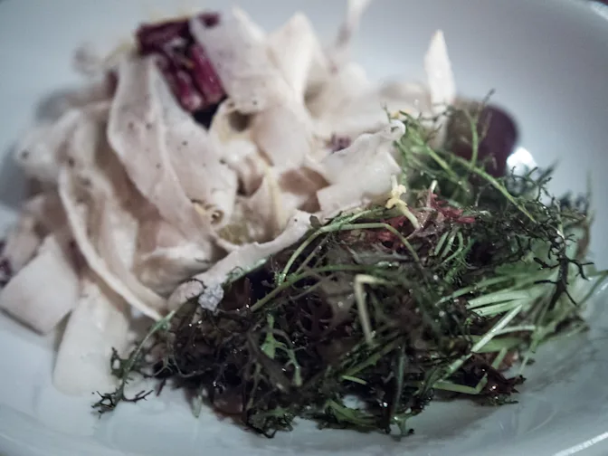 The Rise and Fall of Sarma Melngailis’ Vegan Empire-2