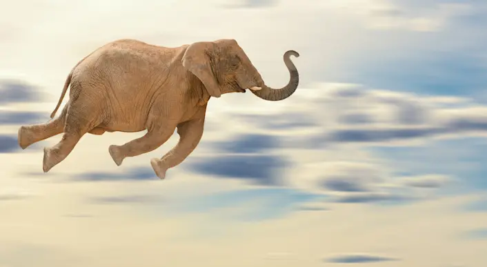 24 Elephant Jokes You’ll Never Forget