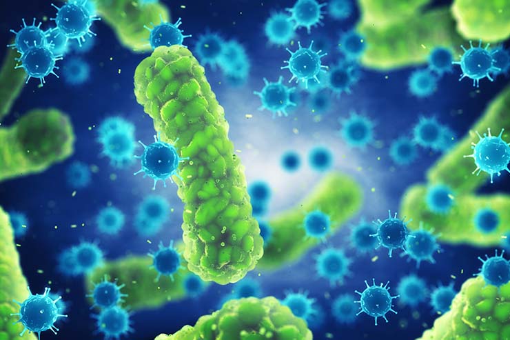  Where do colds go on vacation? image